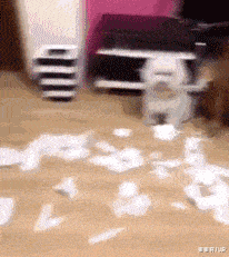 手机壳|网友某宝定制手机壳，拿到的时候懵了，卖家绝对是人才啊！