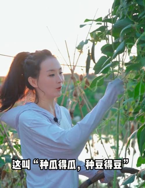 董洁|42岁董洁下地干农活,徒手捏虫子不戴手套!对比王艳差距就出来了