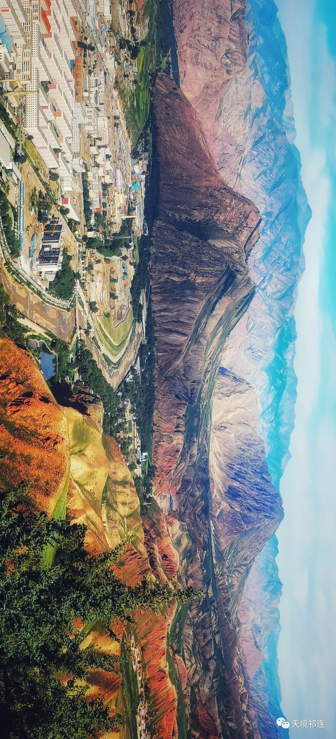 草原|真羡慕你们可以去祁连玩儿，不像我就住在祁连
