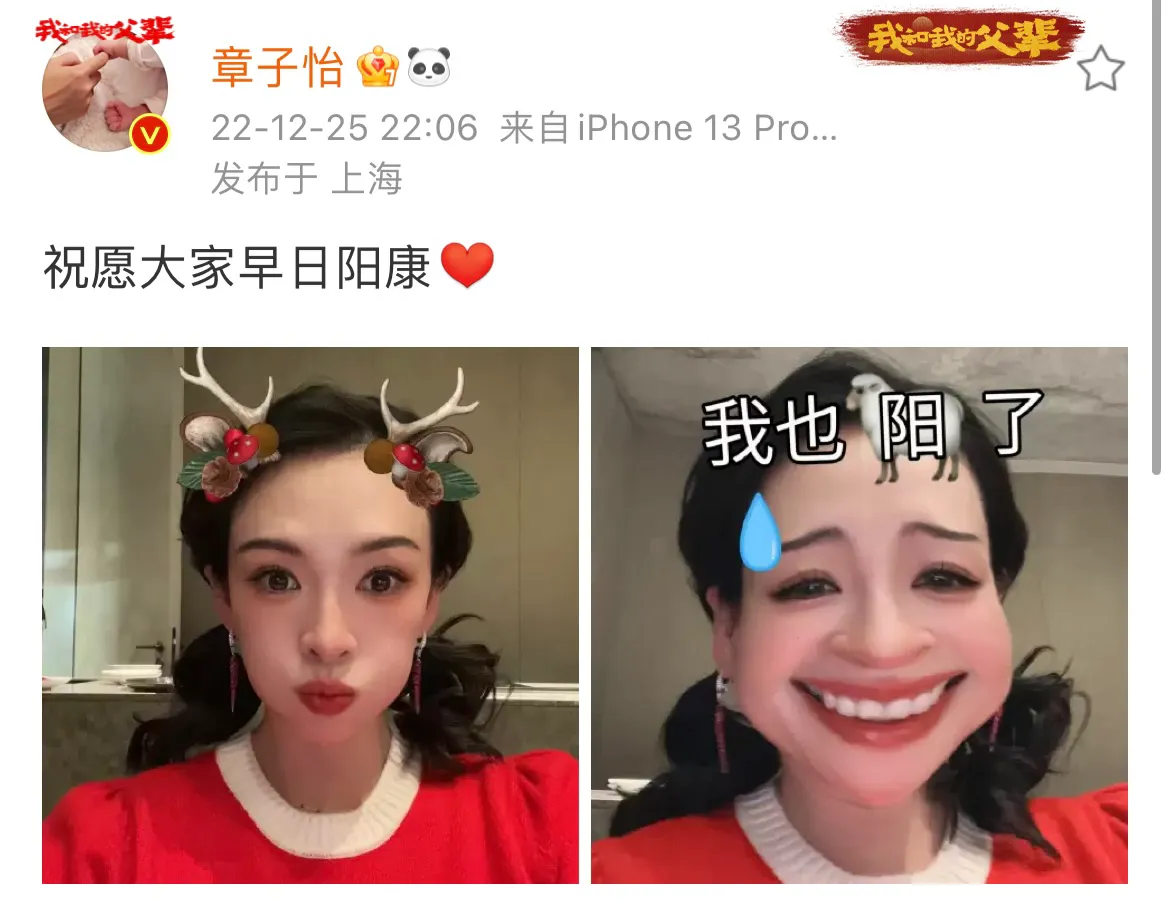 章子怡|章子怡，登上热搜！