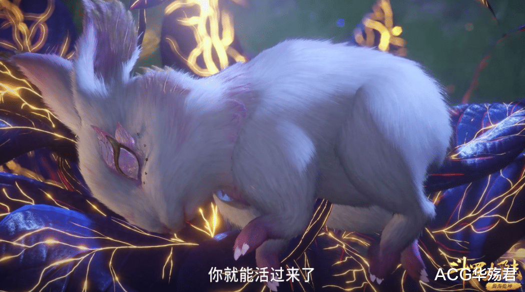 小舞|小舞献祭给唐三后，菊斗罗和鬼斗罗为何不杀他来夺取魂骨？
