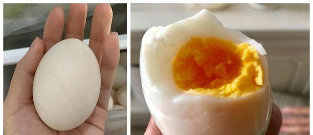 终于明白,青壳鸭蛋和白壳鸭蛋的区别竟这么大!了解清楚,别买错