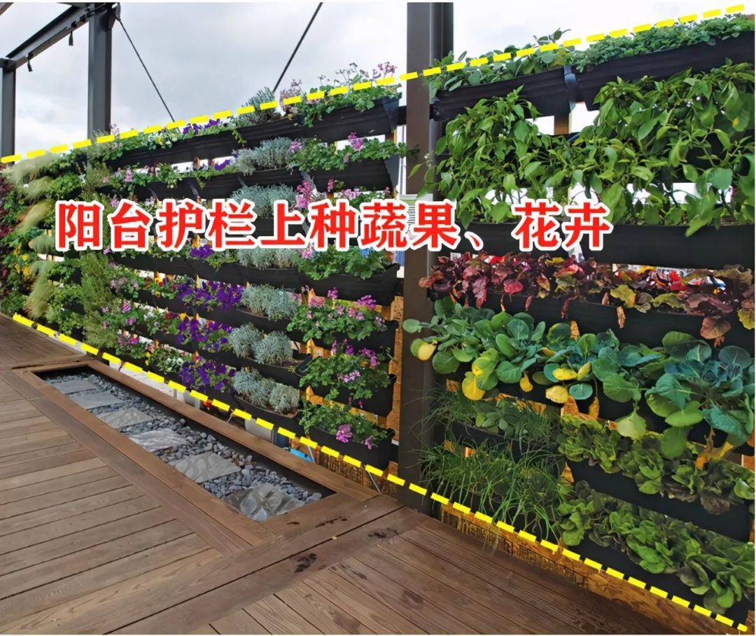 绕着阳台护栏这么做，比封了还靠谱，养花种菜颜值高还能遮私隐！