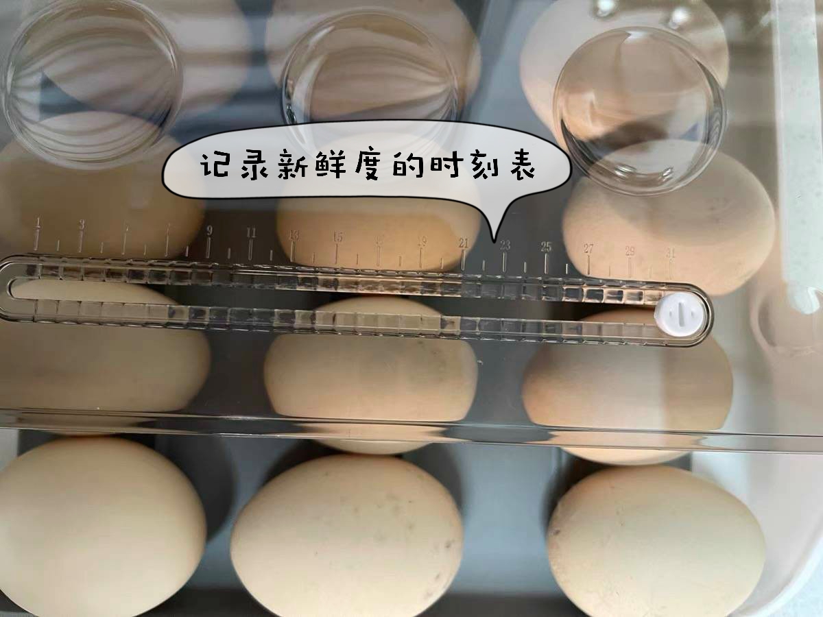 冲着“新奇”买的10款家居品,没想到还挺好用,直接被圈粉!