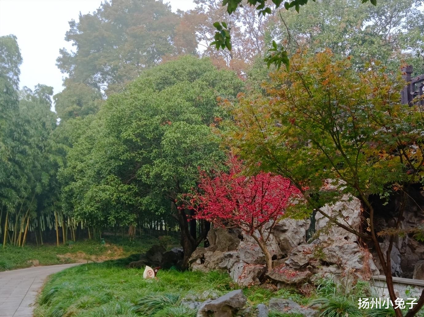 栖霞山|看秋色、品秋味、赏秋景,为秋天送行