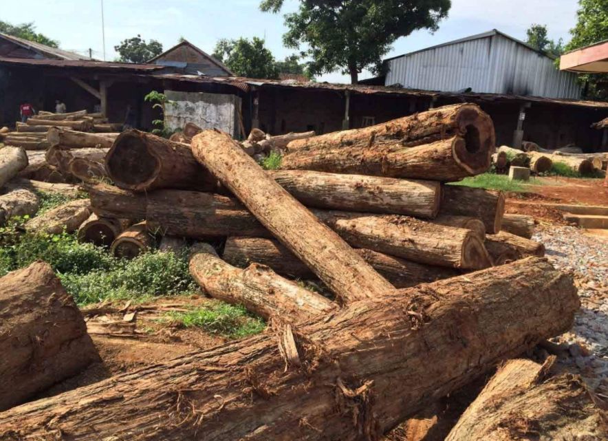 红木|红木市场最热门的8个品种,你知道几个?