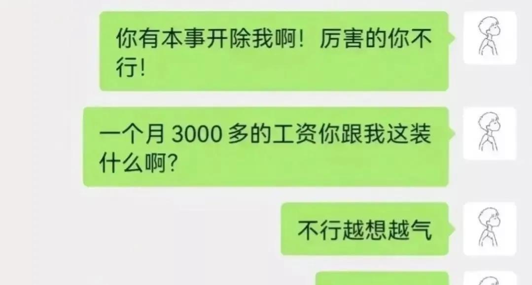00后|“硕士生毕业后去养猪”引发热议,顿悟了当下年轻人最嚣张的法则