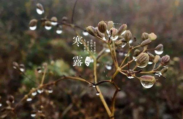 寒露已至,穿秋裤的季节到了