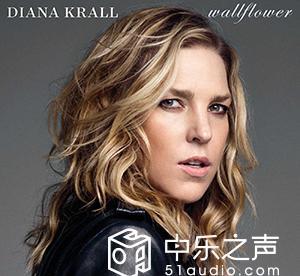 音响|步入数字串流领域——SilentAngelMunichM1串流播放DAC耳放