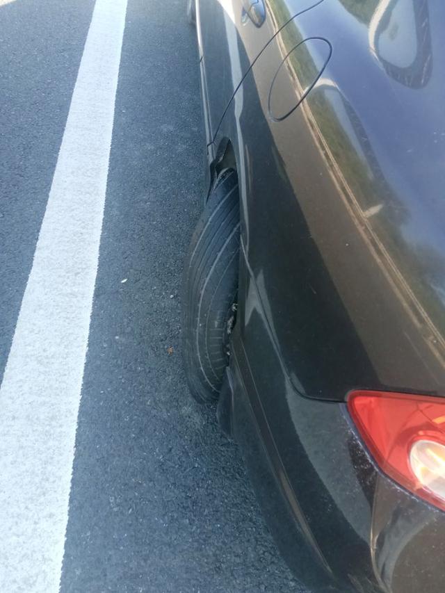 |【作钓报告】2022钓鱼之路已走完,2023开拓新的天地解锁新鱼种