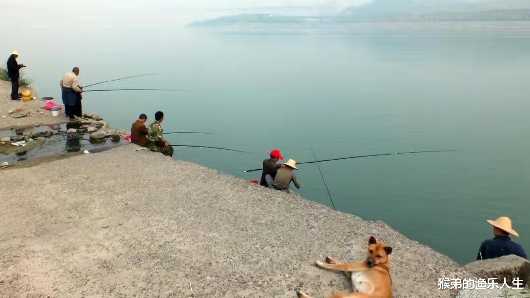 |小雪过后野钓难度升级,记住这五钓五不钓,天气再冷也能连竿上鱼