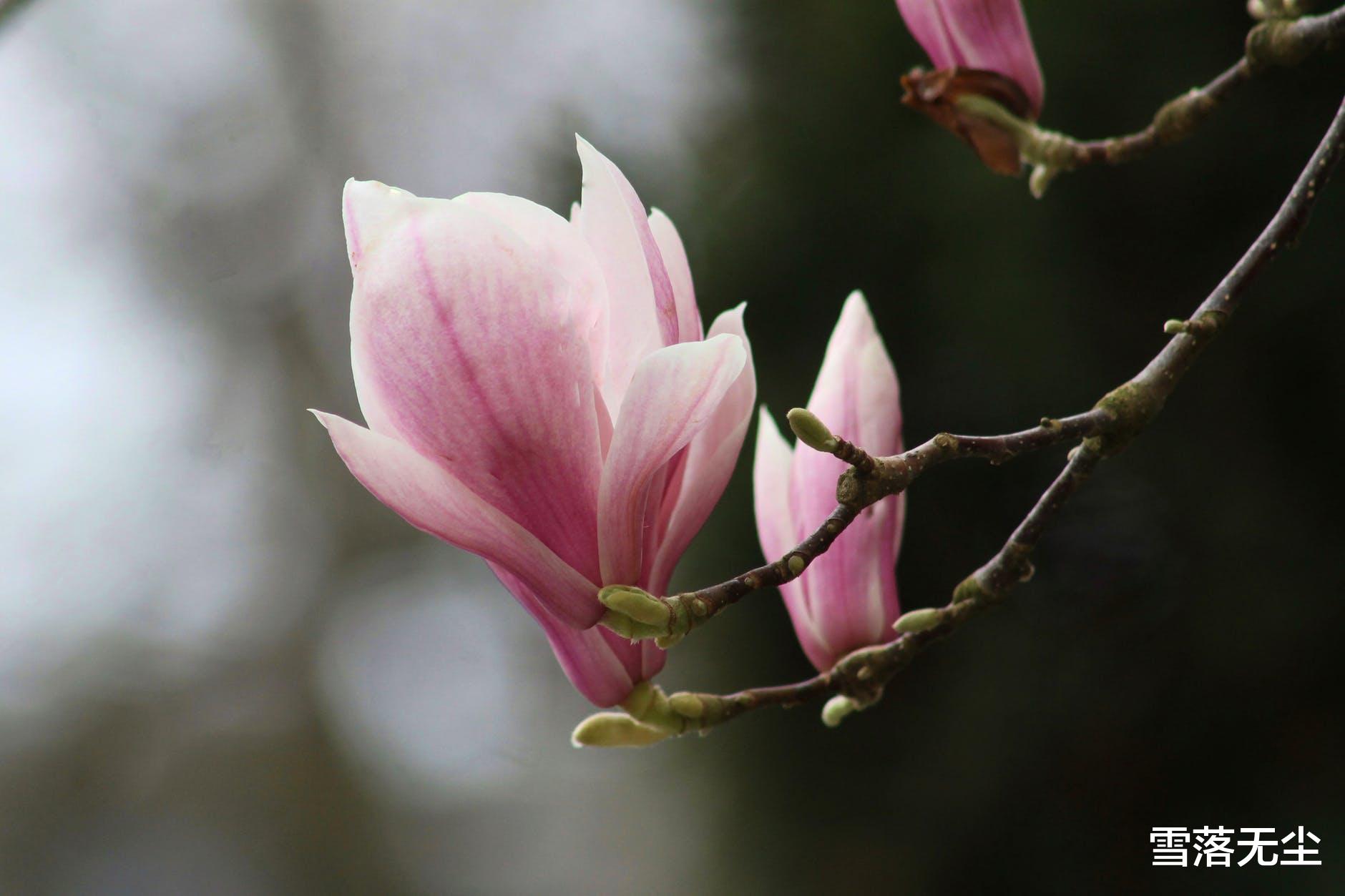 邓超|夫妻做“情人”，才是婚姻最高级的过法