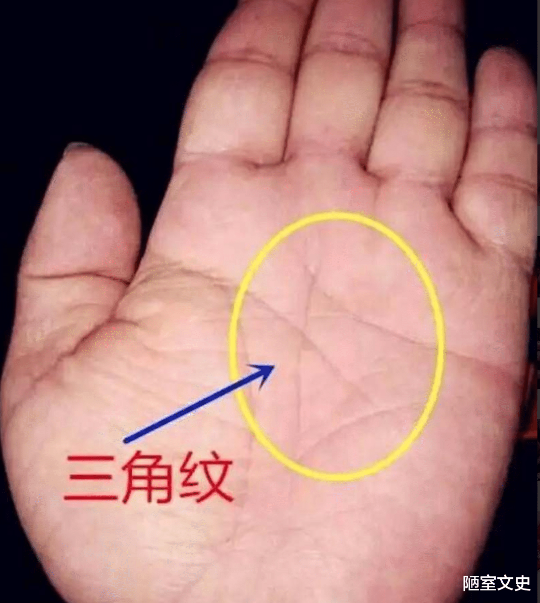 老祖宗俗语:“三角纹在手,富到九十九”,啥是三角纹?准不准