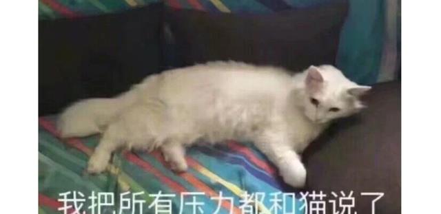 |35岁八零后,从程序员变外卖员:“生活压力,快把我压死了”