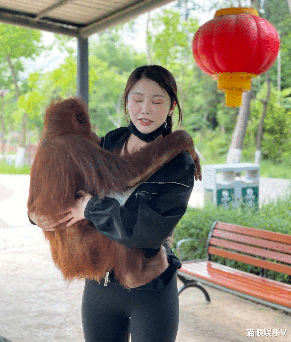 徐冬冬|女神徐冬冬现身动物园,胆子太大抱大猩猩,穿着紧身裤秀大长腿