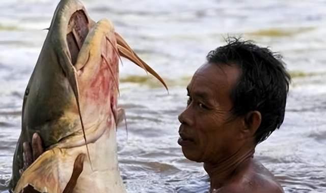 湄公河上玩命的捕鱼人：在激流中穿梭，只为生存