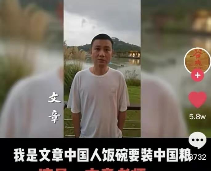 马伊琍|37岁文章近照曝光,皮肤松弛脸色憔悴,对比马伊琍状态差不少