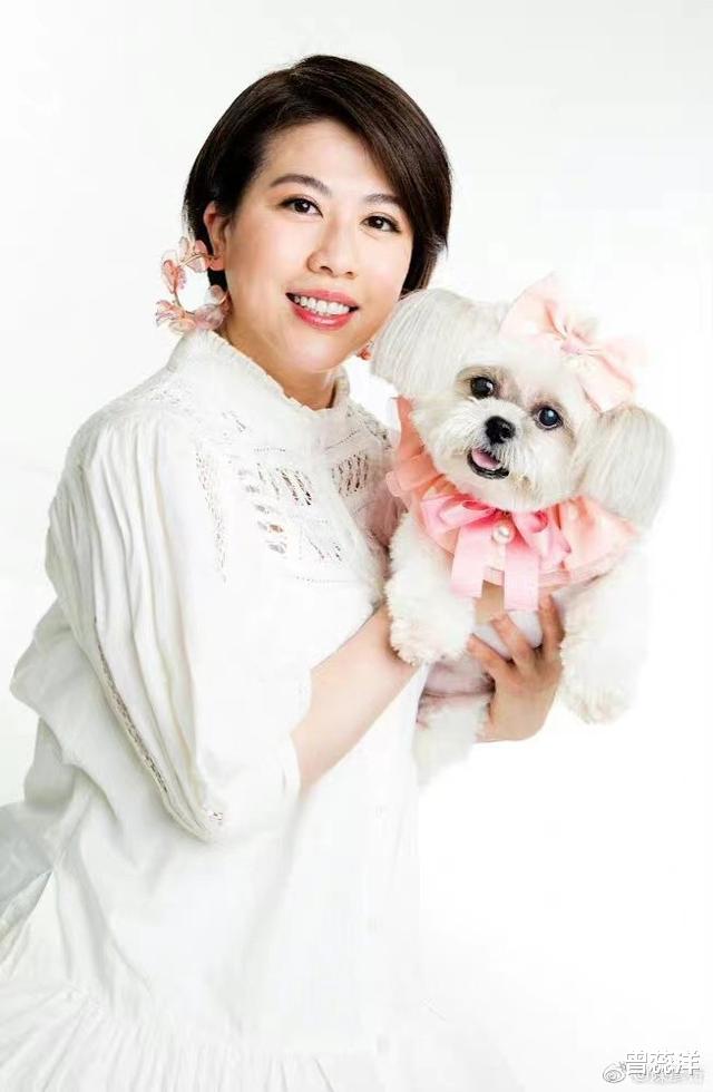 皆大欢喜|细数《皆大欢喜》6位黄金配角,有人遭潜规则,有富二代体验生活