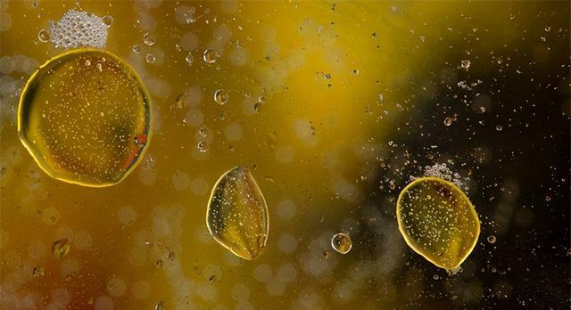 仅靠一瓶水敛财四亿,普通的公交车司机,策划了怎样的惊天骗局?