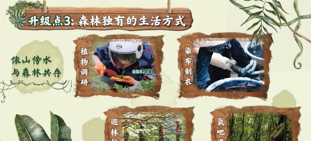 金·卡戴珊|《向往7》5人海报官宣!从C位看端倪:本季一家之主由谁担任