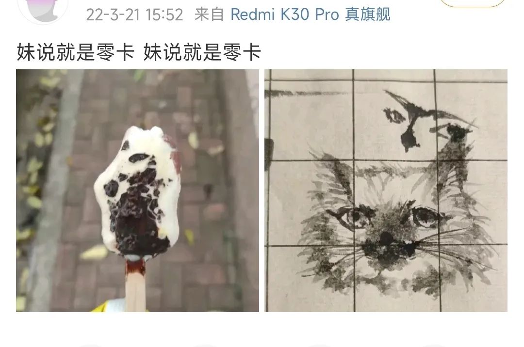 bilibili|这个光头,是怎么靠「妹说就是零卡」火遍B站的?