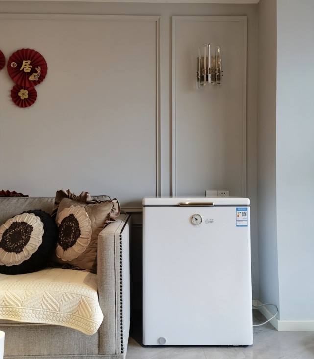 逐渐被市场“冷落”的冰柜,突然“走红”,还值得我们入手吗?