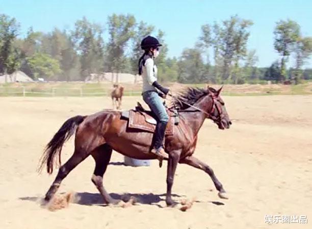 电影|继宋祖儿骑马火了后，李一桐骑马也火了，1小时阅读量超过200万