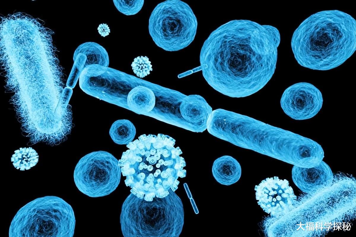 人类发现低等外星人,是保护还是侵略?其实保护并不意味着善良