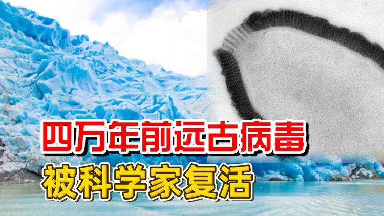 真的有远古病毒码?假如远古病毒被复活,会造成什么灾难