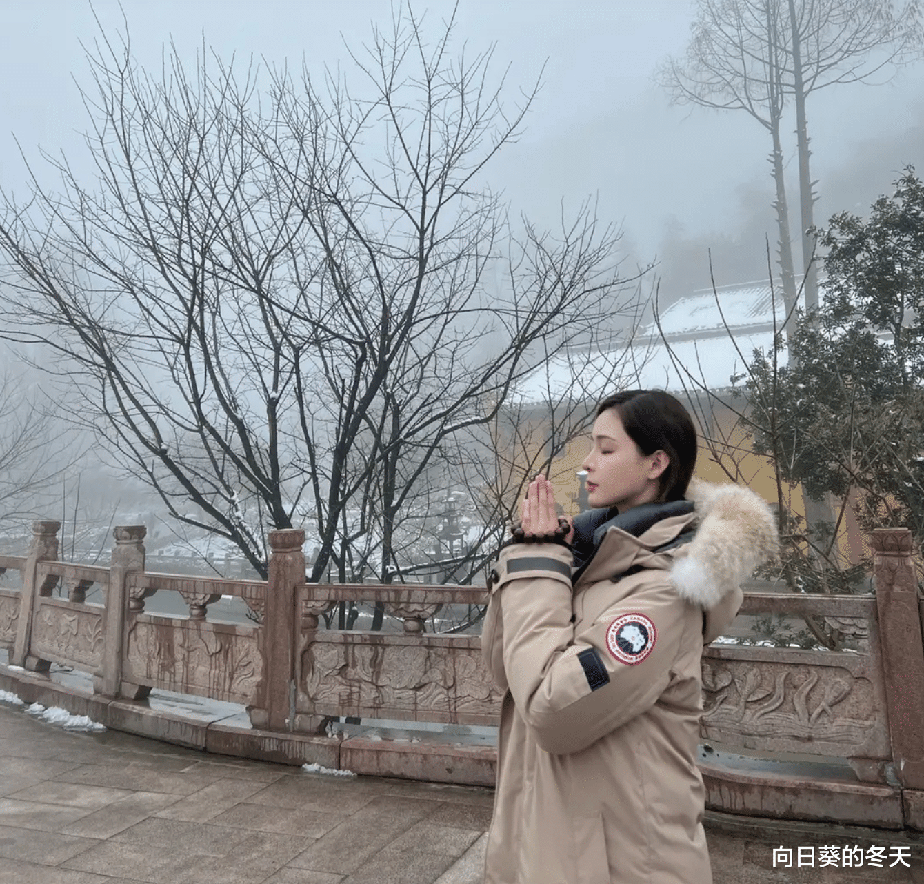 张颖颖|汪小菲张颖颖啥情况?女方视频被扒穿情侣外套,随后举动令人意外