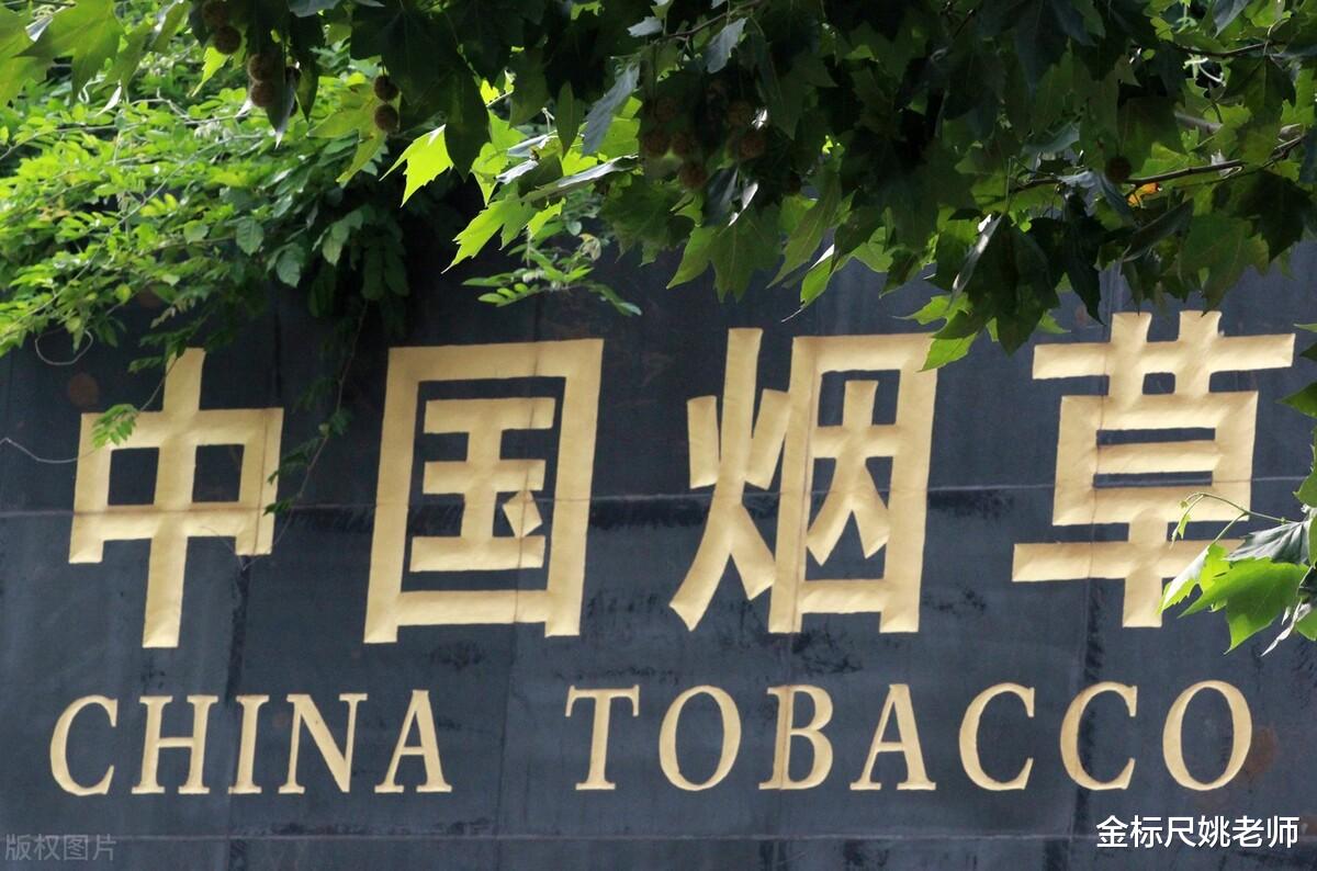 招聘|本月起中国烟草招人，全国各省有岗位，3类人可以优先录取