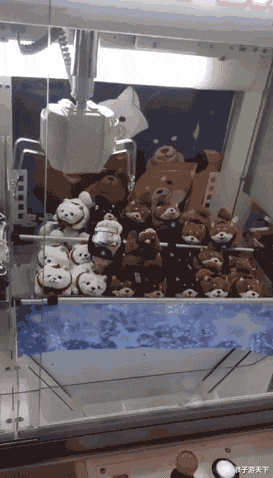 饵料|“钓鱼被咬了，不过钓到了一条招财龙鱼，不亏”评论沸腾了