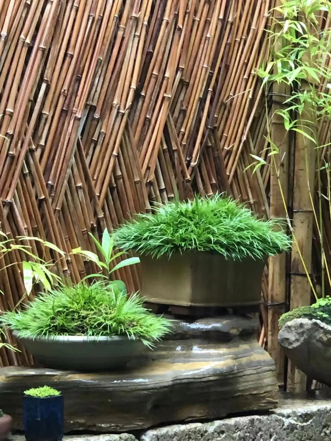 庭院六品,拥有一品你的小院就不会差!