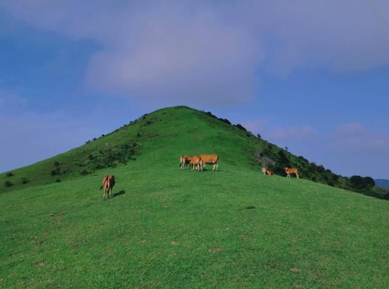 |15元钱就能玩的福清大姆山草原，值得去吗？