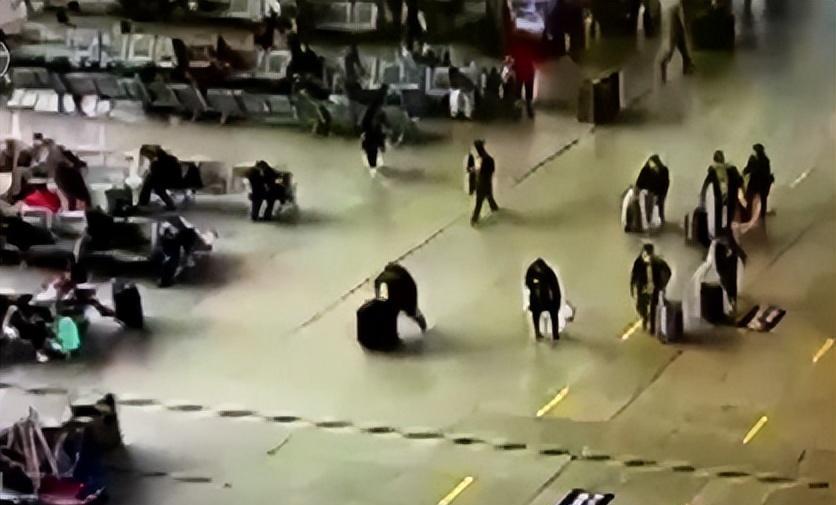 上海市|2011年，初中生盗走公款700万，出狱后年薪36万，半年又盗1900万