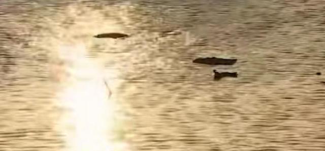 |孙卓18岁生日直播笑得开心,呼吁大家别再送礼物,忘词一幕太可爱