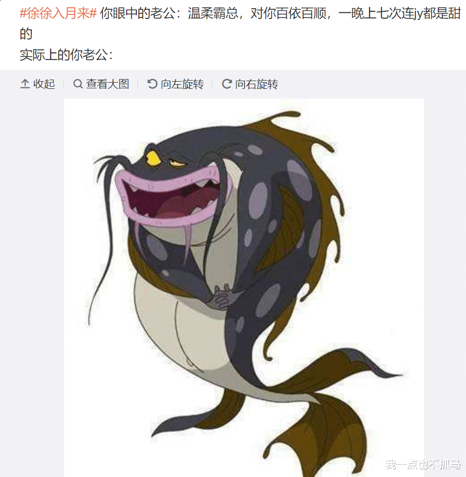 Twitter|互联网第一娇妻还得是她