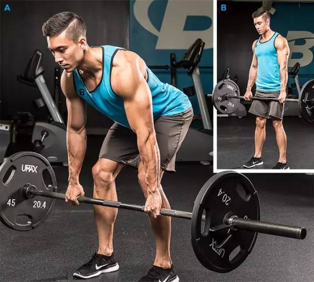 高血压|身体各部位最佳健身动作，你做过几个？