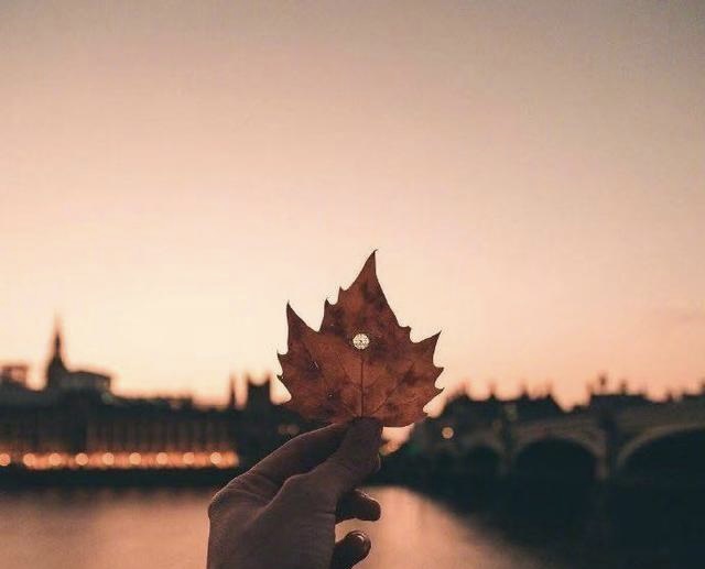 小飞侠熙熙 学会隐藏自己！