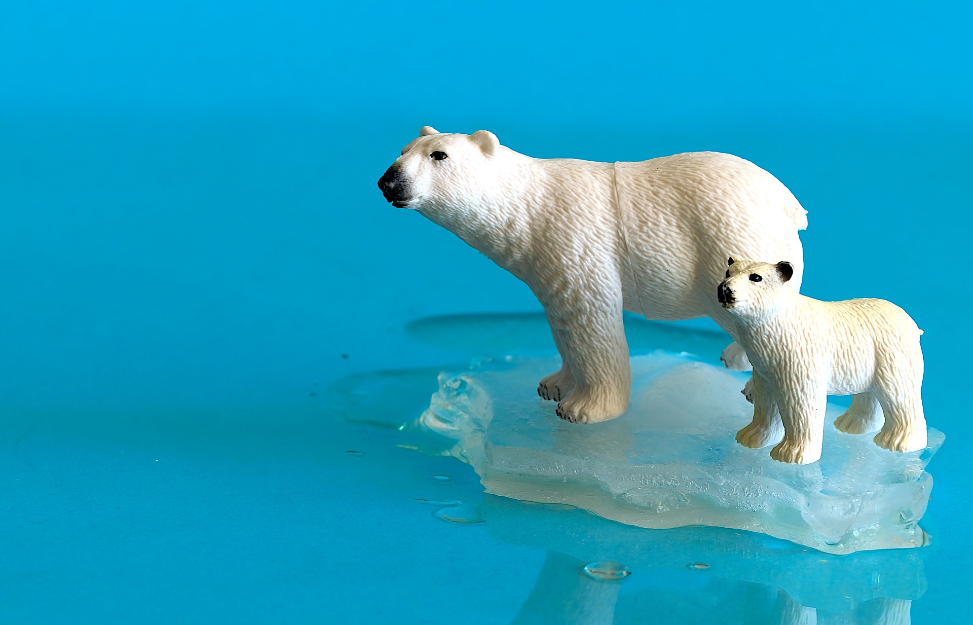 气候变暖是“骗局”?南大洋正在疯狂吸碳,每年净吸碳量达5.3亿吨