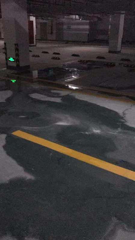 合肥|泉州丰泽区:海韵山居被诉绿化造假及其它问题?望开发商介入沟通、积极整改