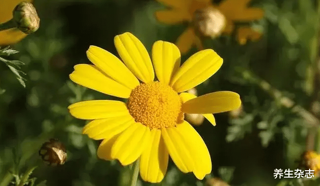 医生|65岁阿姨仅用半年血压从159降至119,医生:她的3条降压妙招,值得借鉴