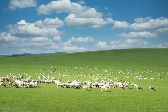 离岛|7月最佳旅行目的地，对的时间就去对的地点