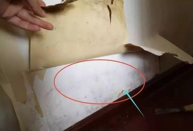 95后小姐姐爆改40㎡出租房，房东：我可以认你做干女儿吗？