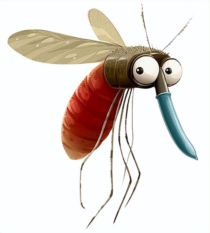 疾病|蚊虫叮咬会传播艾滋病么？看完秒懂
