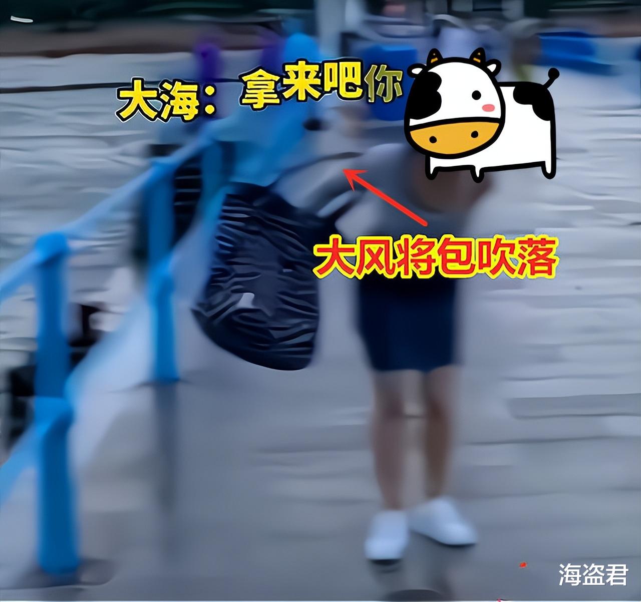 女子海边大风中“嘚瑟”,又蹦又跳“装幼稚”,结果挎包被吹海里