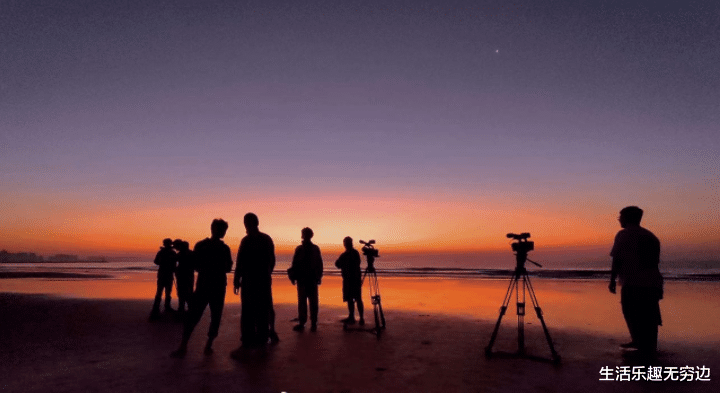 芯片|植物35亿年历史,竟然没进化出一种黑色的花,为什么?