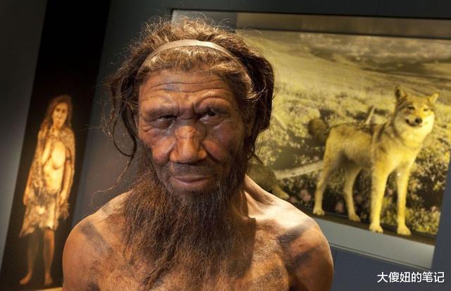 70万年前，人类曾经拥有“阴茎骨”基因，为什么后来消失了