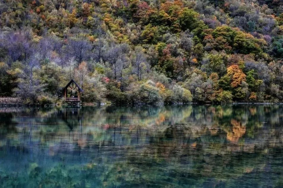 腾冲|再不“枫”狂就下架了！你和这个秋天还差一片红色的距离