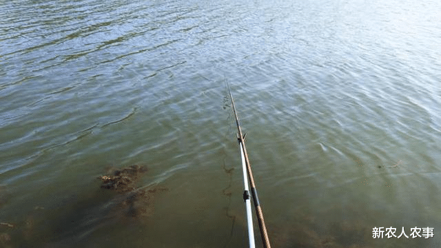 四川省|四川一钓鱼佬火了，天天坐在坟包上垂钓，钓友好心规劝他如此回复